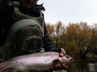 Fly fishing picture