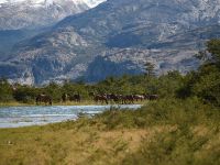 Fly fishing picture