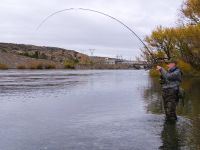 Fly fishing picture