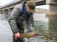 Fly fishing picture