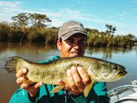 Fly fishing picture