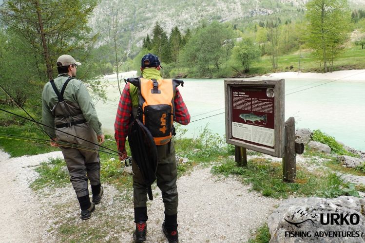 Info plate beside the river about marble trout ...
Soča River is managed by Fisheries Research Institute of Slovenia