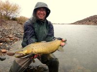 8 pounder wild brown trout!