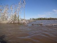 Foto de pesca con mosca