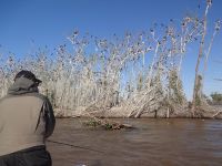 Foto de pesca con mosca