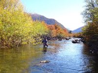 Foto de pesca con mosca