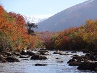 Foto de pesca con mosca