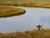 Fly fishing picture