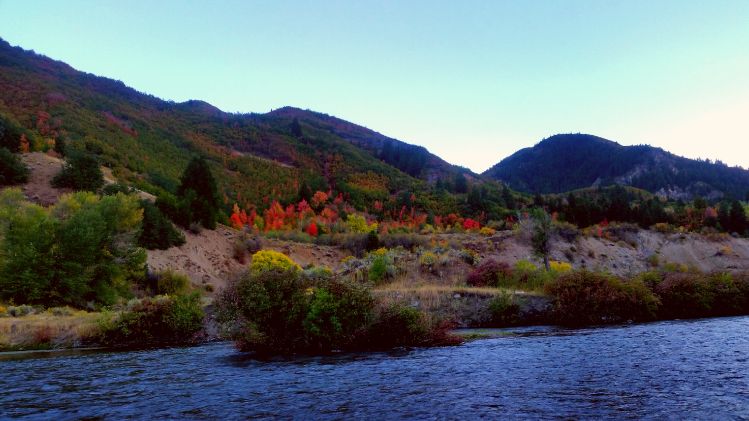Provo river utah fall colors