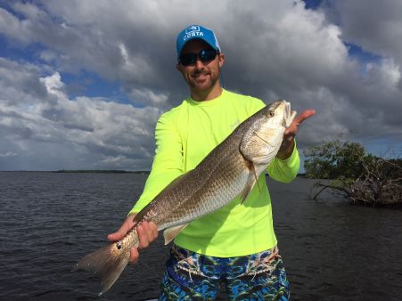 Naples Saltwater Charters with Captain Jeremy A Kiley