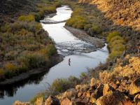 Fly fishing picture