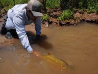 Fly fishing picture