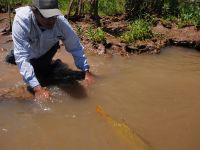 Fly fishing picture