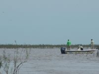 Fly fishing picture