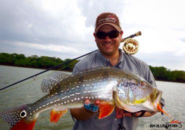 Ecuador Fly Fishing Tours, Inc. - Fly fishing Guide, Casting instructor ...