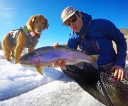 Top Fly Patterns For Winter Trout in Colorado