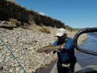 Foto de pesca con mosca