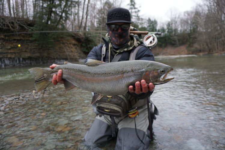 Fishing With Spawn Bags: Lake Erie Tributary Steelhead (plus a
