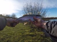 Fly fishing picture