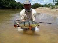 Fly fishing picture