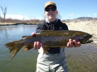 Fly fishing picture