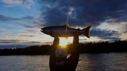 Dream Destinations: Angler's Alibi Alaska