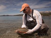 Fly fishing picture