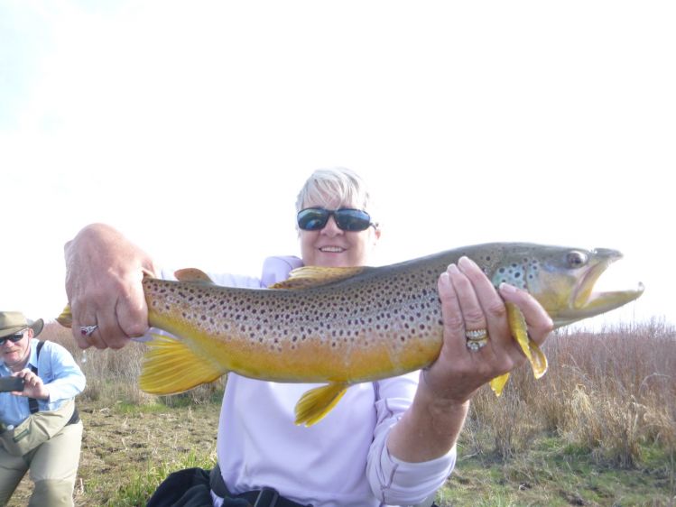 Fishing Report: The White River near Meeker, CO by Shannon Branham