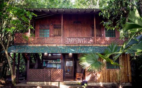 Tarponville Lodge