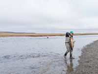 Fly fishing picture