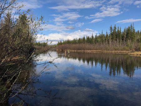 Alaska Fishing and Raft Adventures