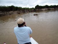 Fly fishing picture