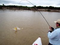 Fly fishing picture