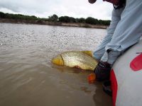 Fly fishing picture