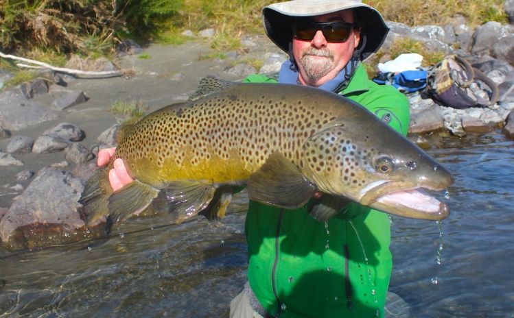 Backcountry focus for larger Brown Trout