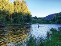 Fly fishing picture