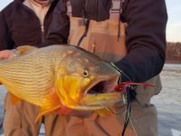 Foto de pesca con mosca