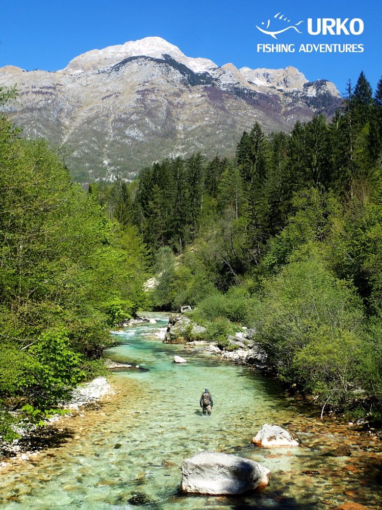 Picturesque small Alpine stream of Koritnica River