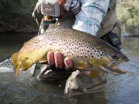 Fly fishing picture