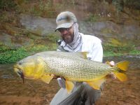 Dicen que 5 kgs o más.... Para mi, el Dorado más lindo que saqué por situación de pesca, pelea y lugar.