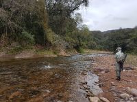 Fly fishing picture