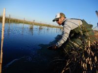 Fly fishing picture