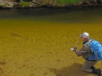 Fly fishing picture