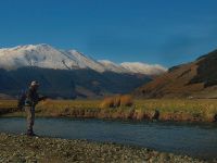 Fly fishing picture