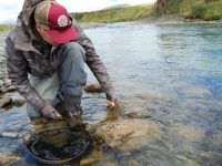 Fly fishing picture