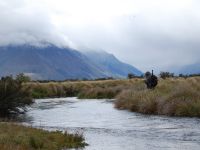 Fly fishing picture