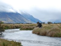 Fly fishing picture