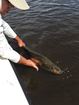 Punta Gorda Fly Charters