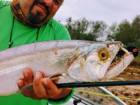 Foto de pesca con mosca