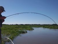 Foto de pesca con mosca